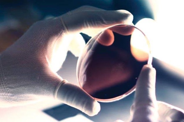 Acquista un occhiale da sole, ne avrai in omaggio un altro con lenti ultrapolarizzate. Succede da Ottica Pili