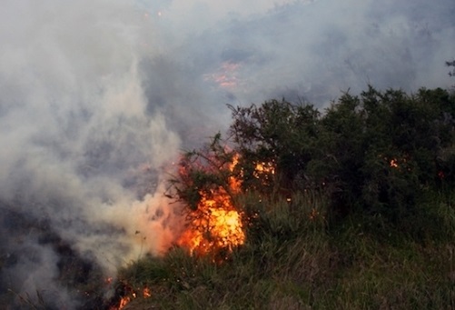 Incendio a Seui, mezzi aerei impegnati nello spegnimento
