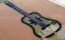 La chitarra di alberi in Argentina