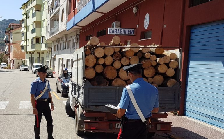 Jerzu, arresti per furto di legna. In manette tre uomini di Tertenia