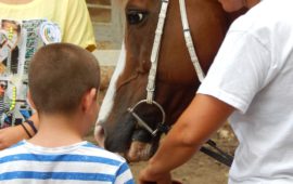 Bimbi e cavalli al Pastrengo