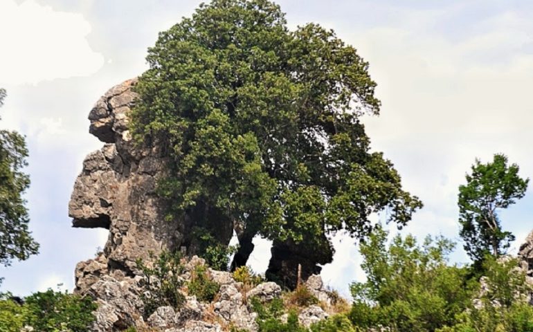 Lo scatto del giorno. Profilo di roccia, tacchi di Tertenia di P. Serra.