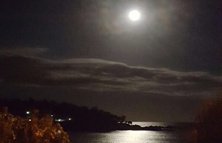 Le foto dei lettori. Porto Frailis in una splendida notte di luna piena