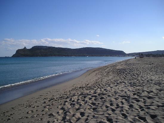 Macabra scoperta al Poetto: un cane trova un cadavere mutilato