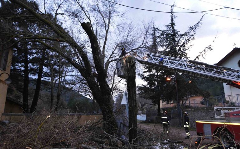 La fotonotizia. Alberi distrutti dal peso della neve e dalla furia del vento a Gairo