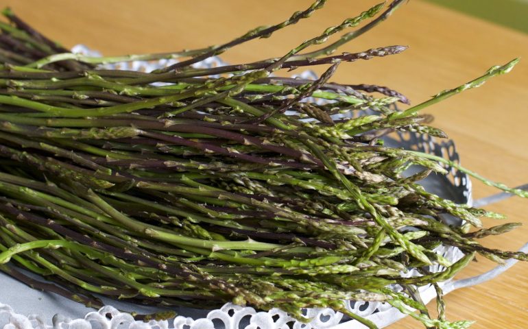 Le infinite proprietà dei prelibati asparagi selvatici: antidepressivi, energetici, riducono la cellulite e depurano