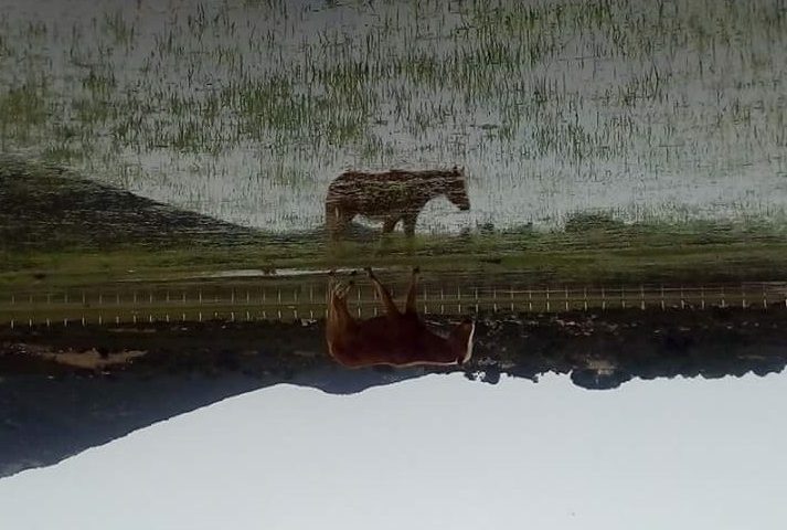 Le foto dei lettori.  “Il mondo cambia a seconda di come lo guardi” in uno scatto di Antonella Mereu