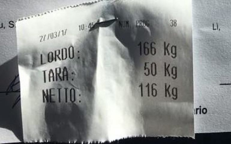 La fotonotizia. Continua la raccolta solidale dei tappi di plastica