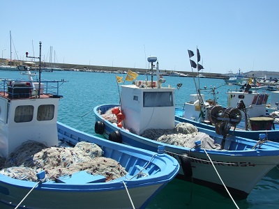 Controlli a tappeto di Nas , carabinieri e Guardia costiera di Arbatax: sequestrati 50 chili di pesce