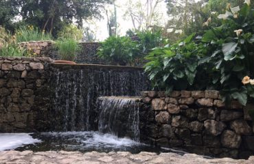 Scorcio dell' Orto Botanico di Cagliari che ritrae una piccola cascata all'interno dell' orto