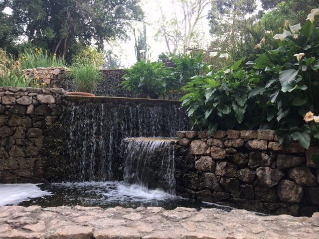 Scorcio dell' Orto Botanico di Cagliari che ritrae una piccola cascata all'interno dell' orto