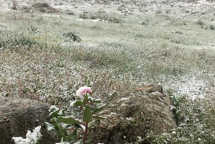 E intanto in Sardegna. A Fonni tornano inverno e neve: imbiancato il Parco Donnortei