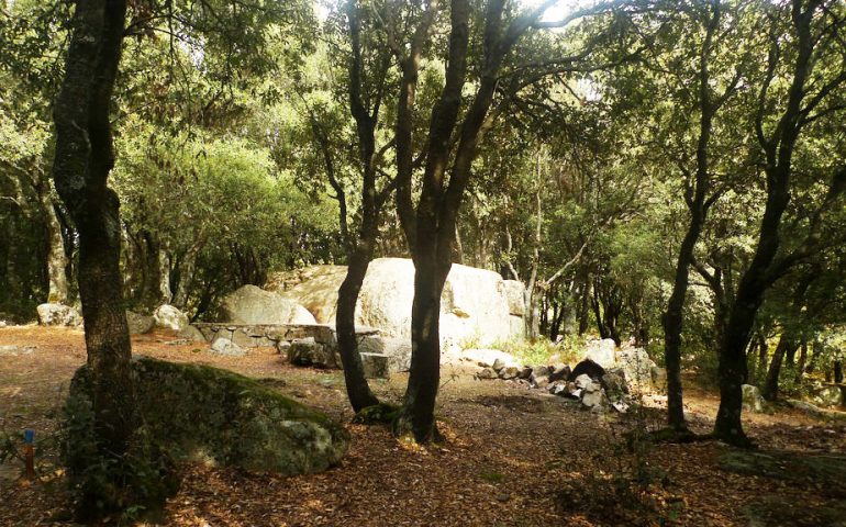 Bosco Selene ( foto Sardinia Trail)