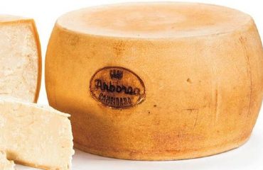 Una forma di Gran Campidano