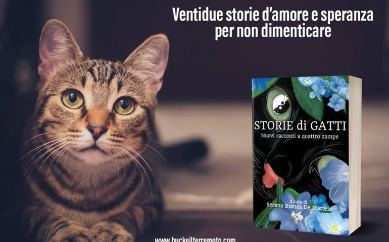 “Storie di gatti” per aiutare i terremotati. Nella raccolta anche il racconto dell’artista ogliastrina Stefania Lai