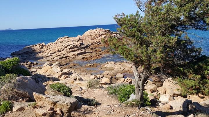 Le foto dei lettori. La spiaggia de is bagadiusu, Marina di Gairo