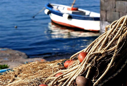 Flag Sardegna Orientale, aperte le iscrizioni per il corso “Creazione di impresa nell’economia del mare”