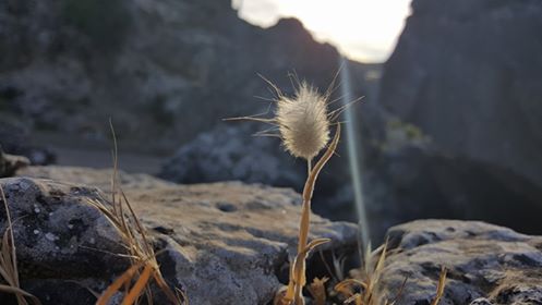 Le foto dei lettori. Tramonto sui monti di Ulassai nello scatto di Giovanni Chillotti