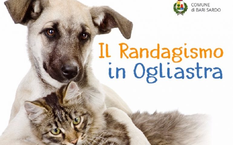 Il randagismo in Ogliastra. Se ne parla a Bari Sardo