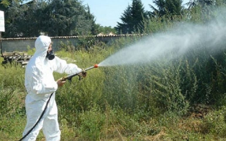 Tortolì, secondo ciclo di interventi di disinfestazione a partire dal 31 luglio