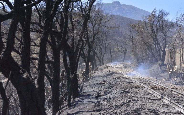 La desolazione disarmante del post incendio a Villagrande nella photogallery di Cristian Mascia