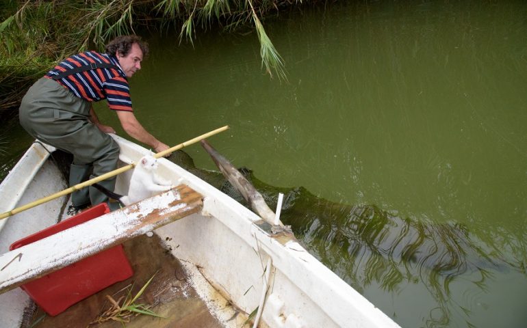 Adriano e il fiume ( G.Chiai)