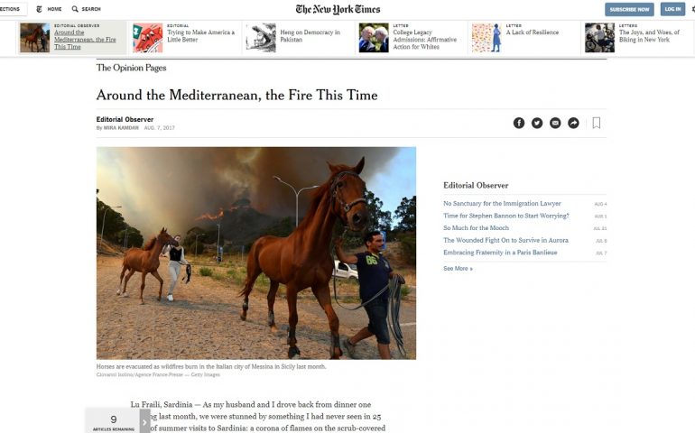 “Un incendio mai visto in 25 anni”: il New York Times parla dei roghi e della siccità in Sardegna