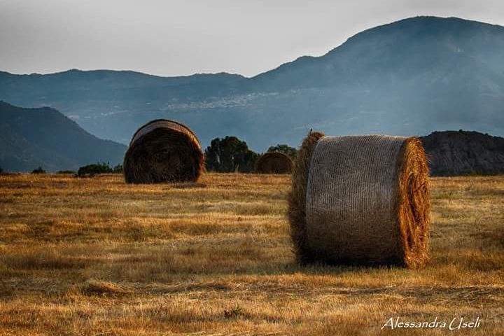 Le foto dei lettori. Balle di fieno a Santa Maria Navarrese