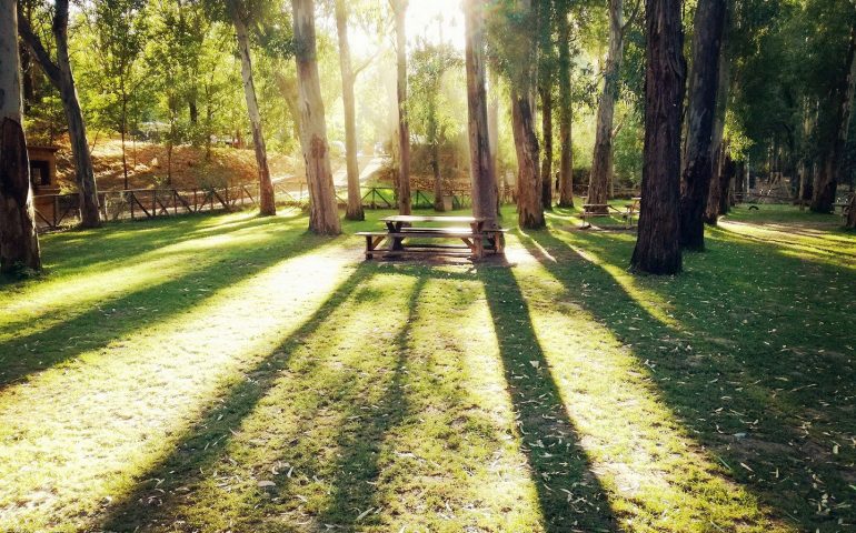 Le foto dei lettori. ‘Benvenuto Autunno’ nello scatto di Monica Selenu