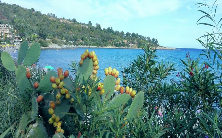 Le foto dei lettori. I colori della natura a Porto Frailis