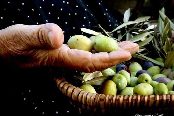 Le foto dei lettori. L’Ogliastra tra colori e sapori autunnali