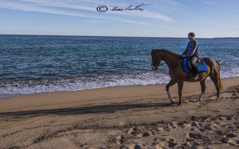 Le foto dei lettori. Passeggiata a cavallo lungo la spiaggia di Basaura