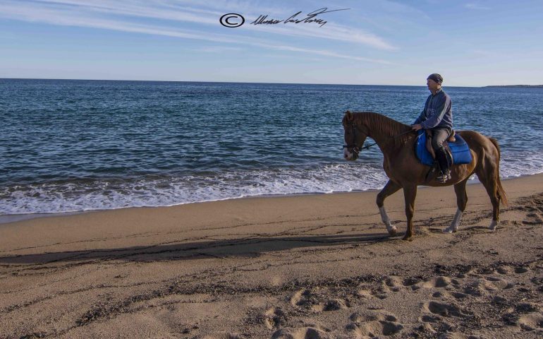 Le foto dei lettori. Passeggiata a cavallo lungo la spiaggia di Basaura