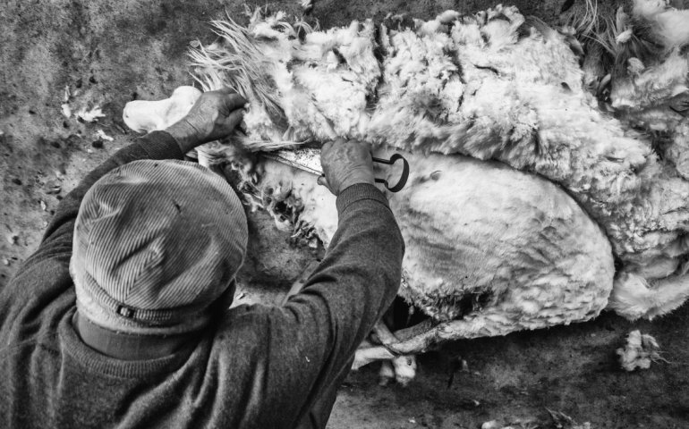 Decretati i vincitori del concorso fotografico Bariscatta: sul podio Anna Piroddi, Ivana Barrili e Mariano Aresu