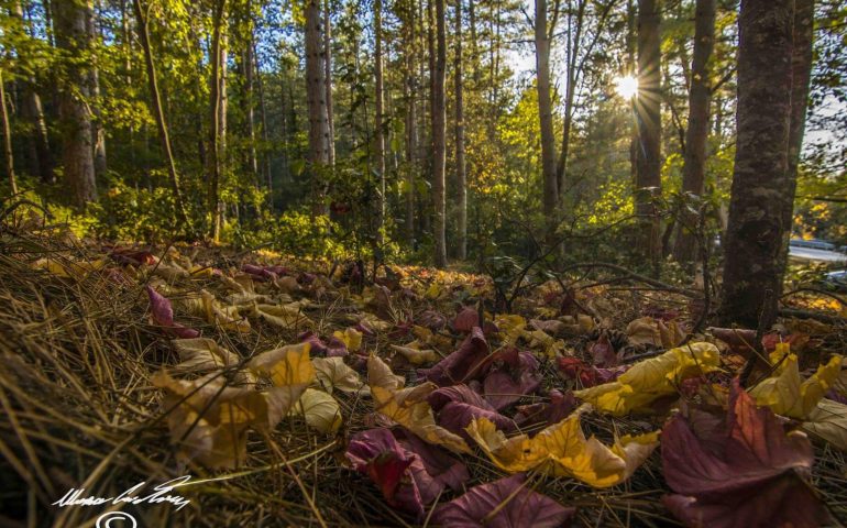 Le foto dei lettori. Autunno in Ogliastra