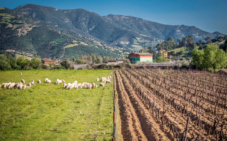 Villagrande Strisaili. Copagri inaugura una sede territoriale in Ogliastra