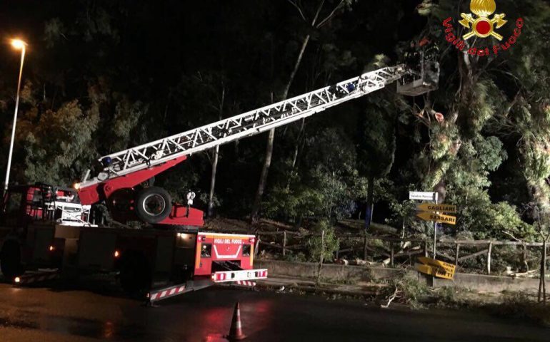 Nuoro, le raffiche di maestrale abbattono alberi, cartelli e insegne. Vigili del fuoco al lavoro da ieri sera