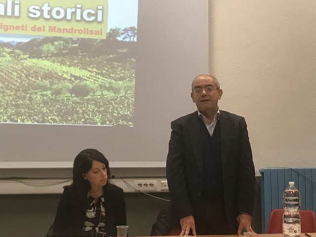 Atzara, Cristiano Erriu: i vigneti storici del Mandrolisai esempio di buone pratiche agricole e manutenzione del paesaggio