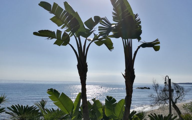 Le foto dei lettori. Cartoline autunnali dal Lido di Orrì