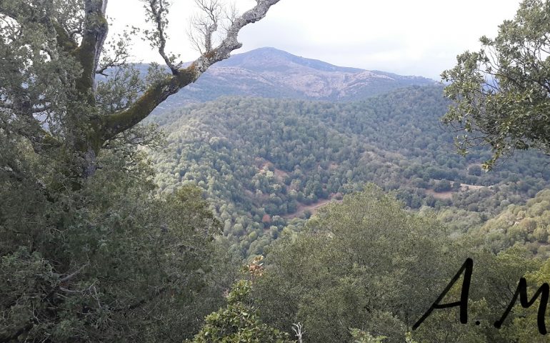 Le foto dei lettori. Scorci di Gennargentu nello scatto di Andrea Muceli