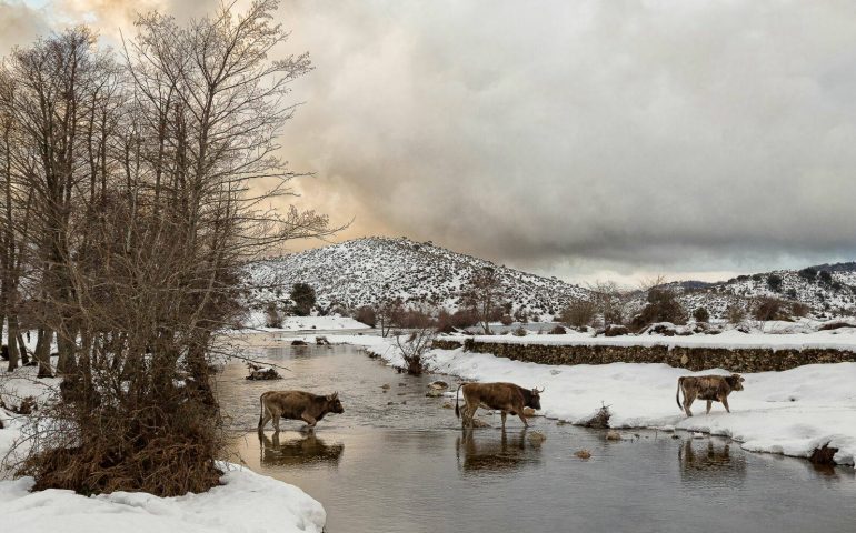 Concorso fotografico “Scorci arzanesi”, vince lo scatto di Anna Piroddi