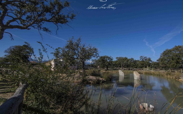 Le foto dei lettori. Giochi di luce al parco La Sughereta di Tortolì