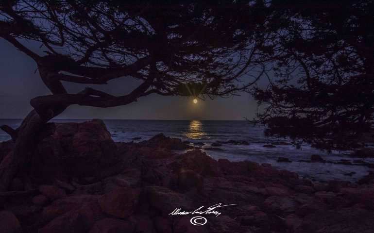 Le foto dei lettori. Magica notte ogliastrina