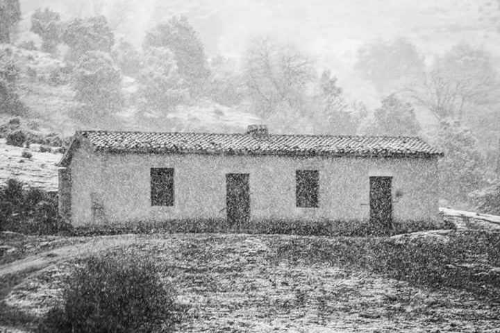 Le foto dei lettori. La Sardegna innevata è uno spettacolo da non perdere