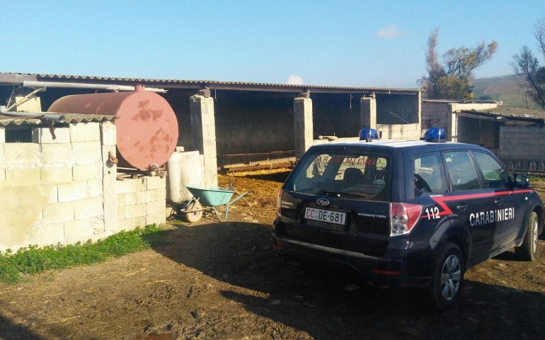 Furti e ricettazione in Marmilla: operazione dei carabinieri. Sequestri e arresti