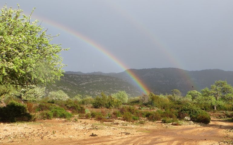 Le foto dei lettori. Arcobaleno a Golgo