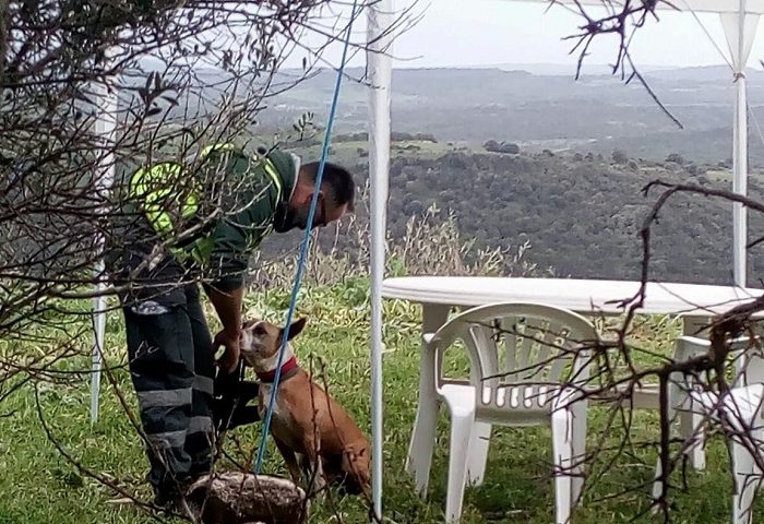 Unità cinofile ricerca dispersi, l’associazione di Girasole “Parla col cane” e i suoi eroi a 4 zampe