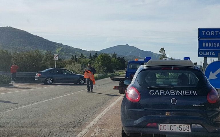 Incidente a Tertenia, automobilista si scontra con un bovino. Morto l’animale