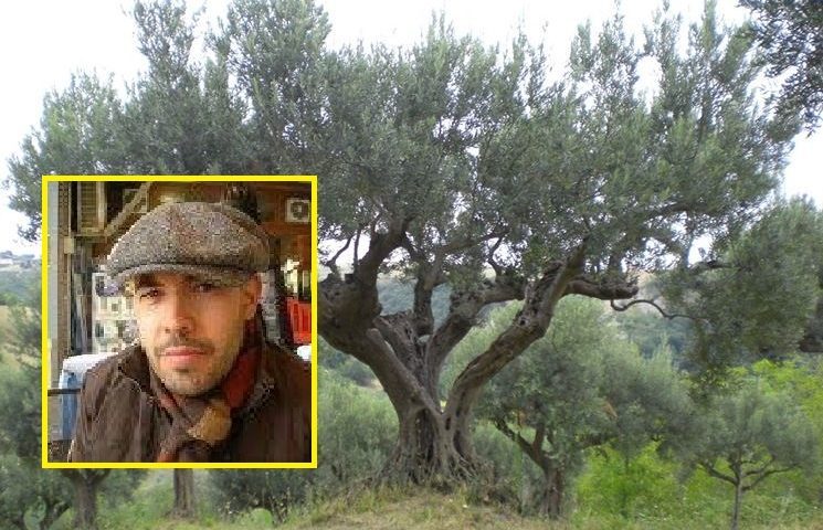 Leonardo Ortu, l’agronomo precipitato dal dirupo, si era ferito potando un olivo