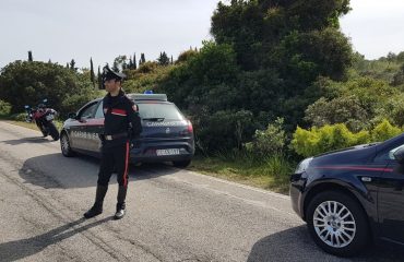 Incidente Perdas bovino carabinieri
